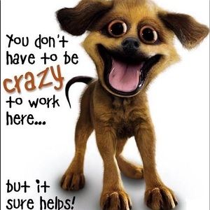 Meet your Posher, Beverly